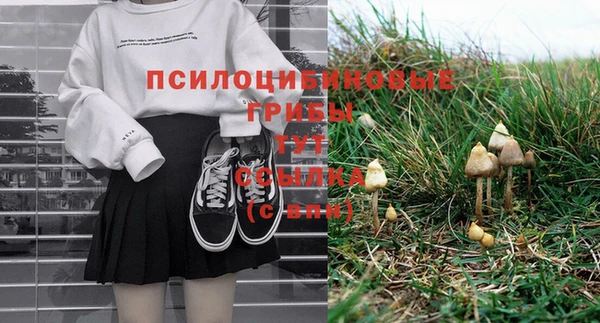винт Кукмор