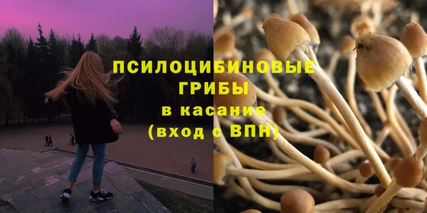 твердый Куйбышев