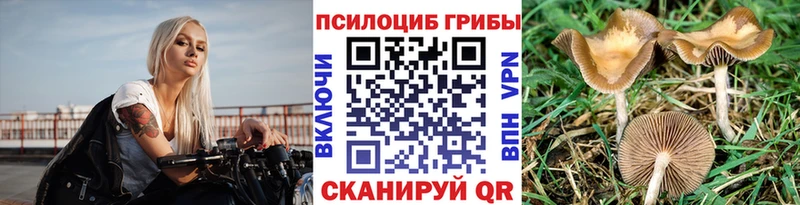 Галлюциногенные грибы мухоморы  Каневская 